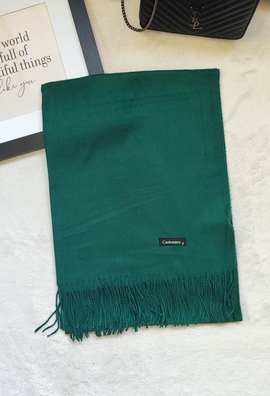 Elegant Green Cashmere Scarf | UniqueFashion